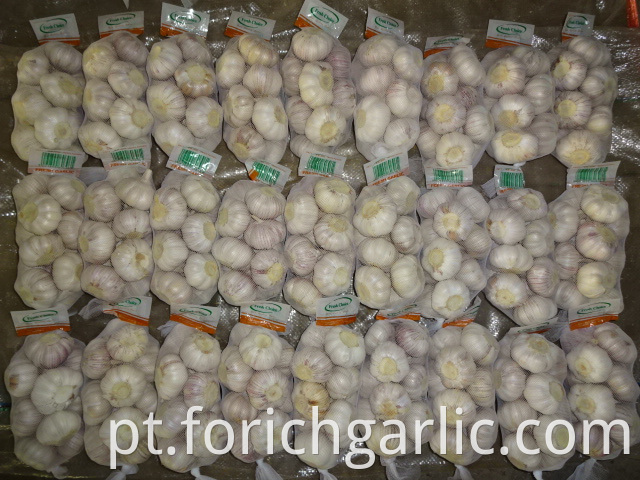 Good Quality Normal Garlic Jinxiang